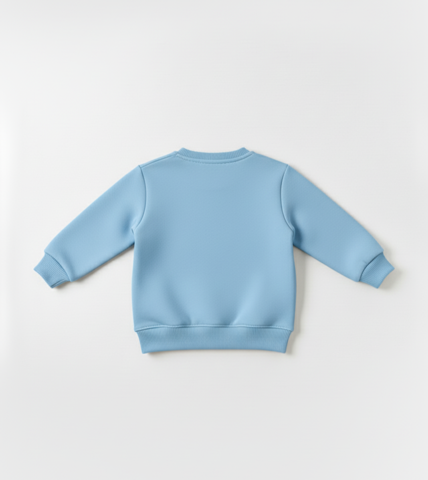 Light blue sweatshirt on a white background
