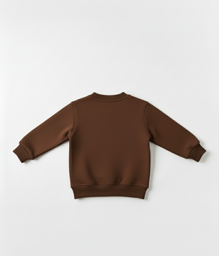 Brown sweatshirt on a white background