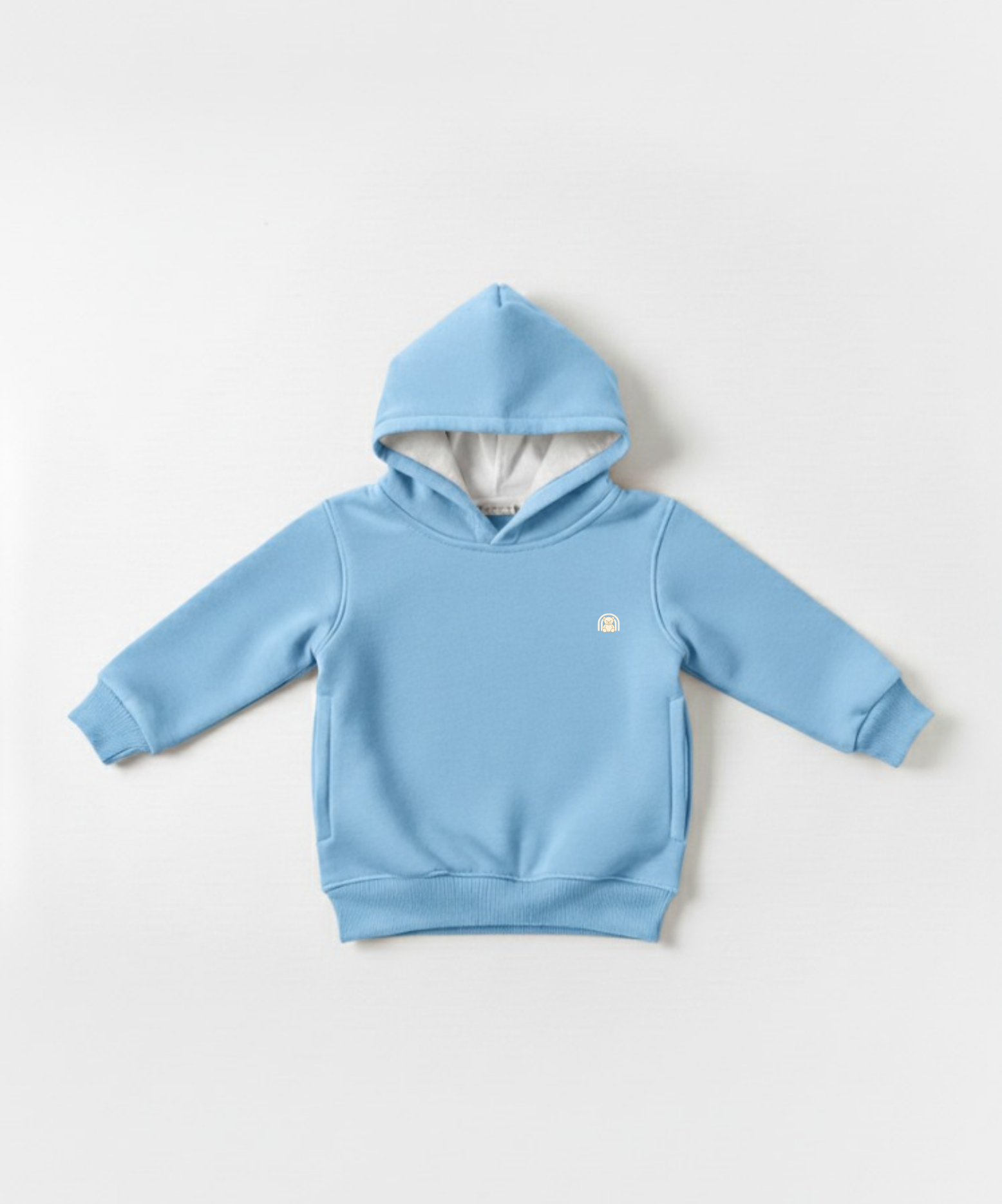 Light blue hoodie on a white background