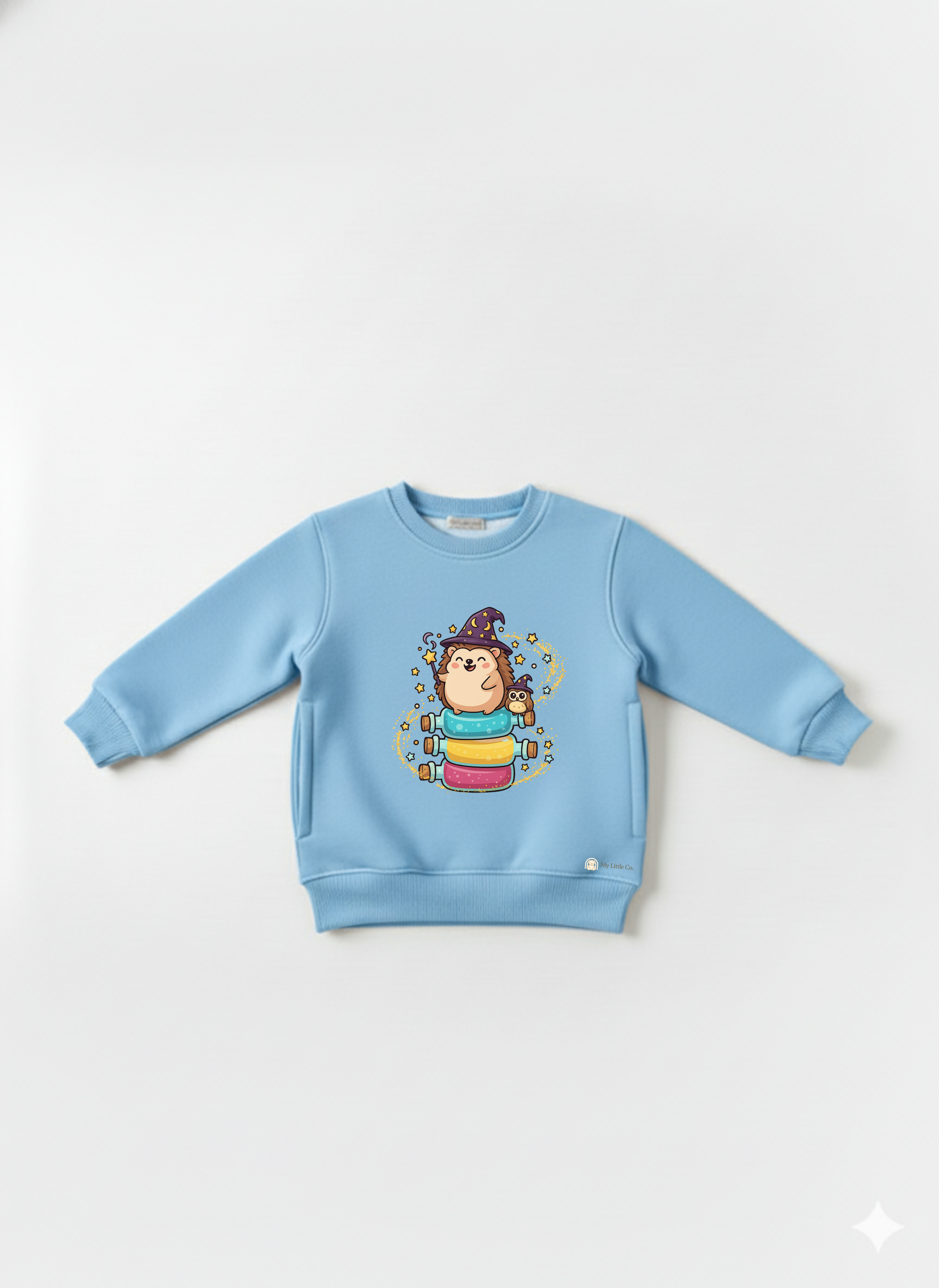 Sky Blue Baby Crew Neck Sweatshirt with Cute Hedgehog Wizard Print – Magical Cartoon Pullover My Little Co.
